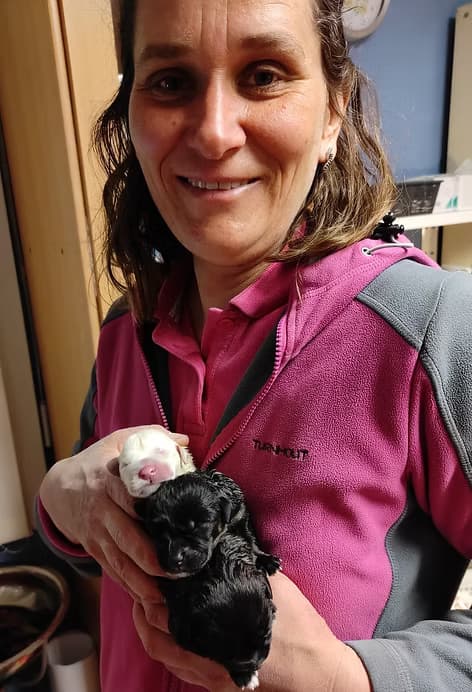 MVDr. Denisa Němcová