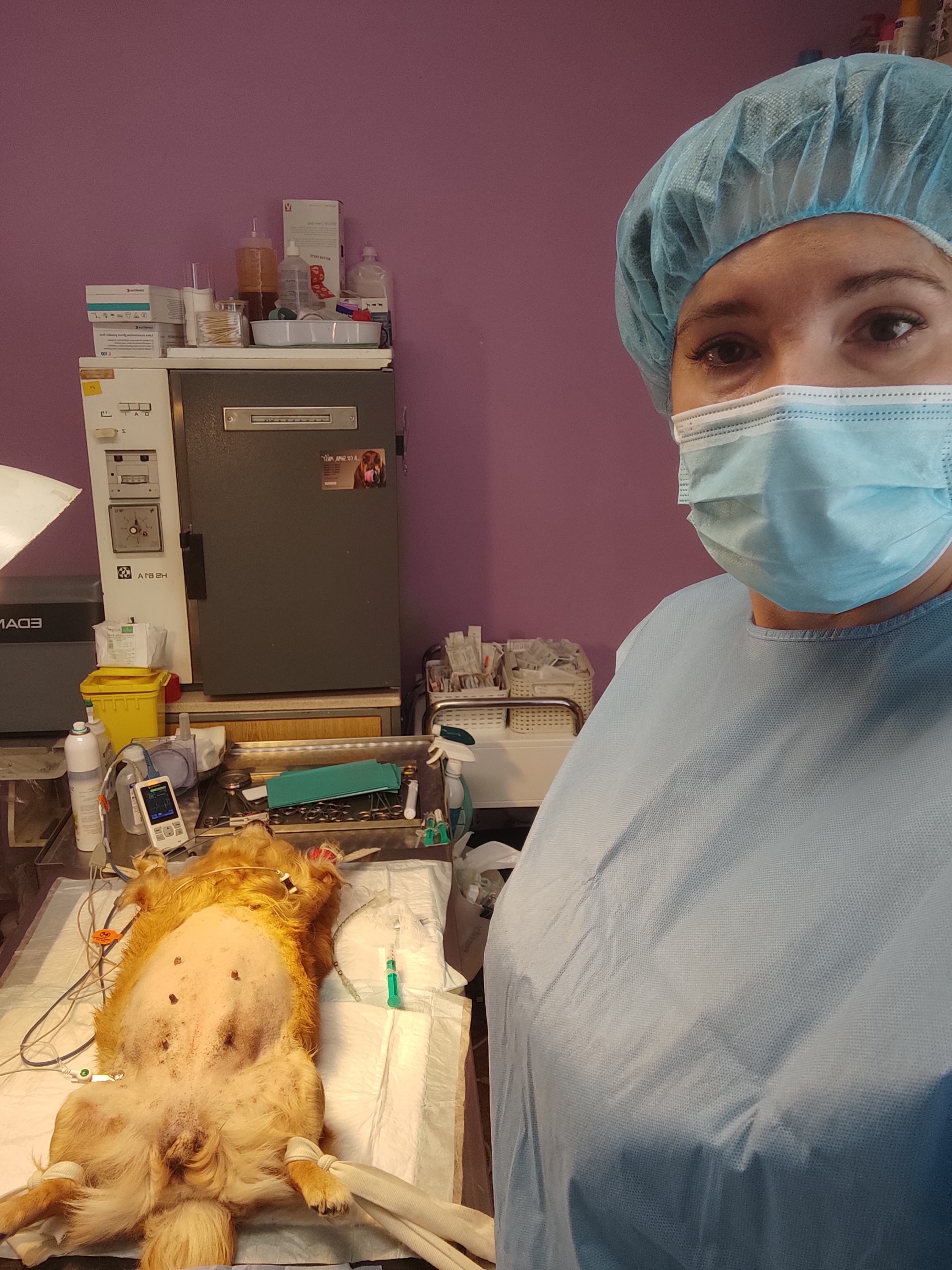 Chirurgické zákroky a urgentní ošetření